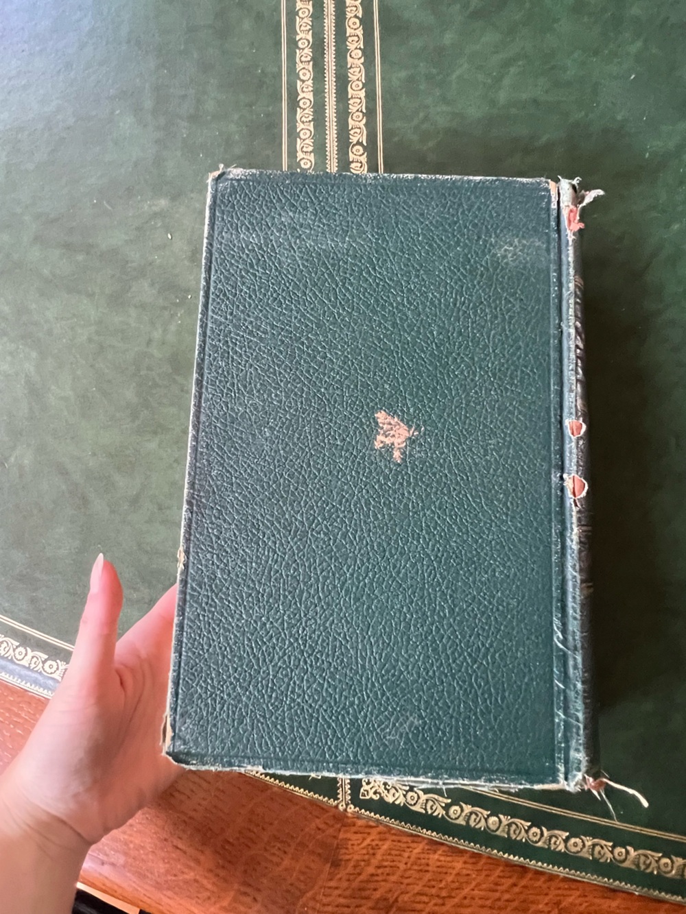 Antique Vintage 1936 23rd Edition Gray’s Anatomy of the Human Body Warren Lewis - Picture 4 of 12